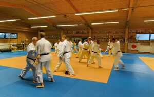 Une première soirée de reprise prometteuse : les judokas au rendez-vous !