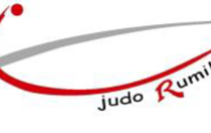 Tournoi Dimanche 30 Mars à Rumilly
