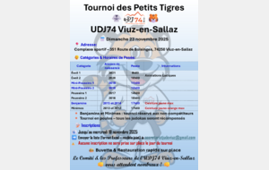 TOURNOI des Petits Tigres - VIUZ EN SALLAZ