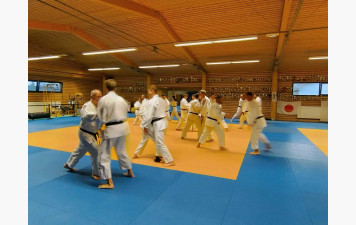 Une première soirée de reprise prometteuse : les judokas au rendez-vous !